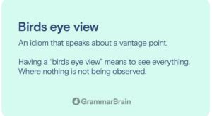 bird's eye view idiom sentence